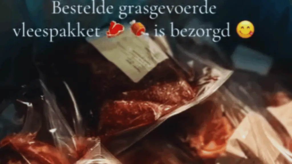 carnivoor voordelen en nadelen